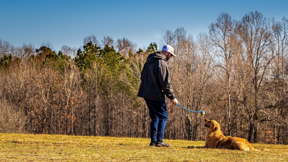 Essential Dog Training Tips for First-Time Pet Owners