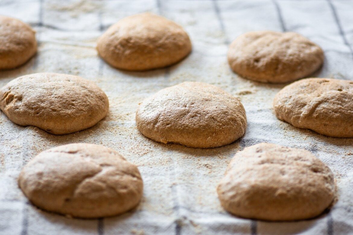 Optimizing Your Aging Dog's Health: Essential Balanced Diet Tips for Senior Canines