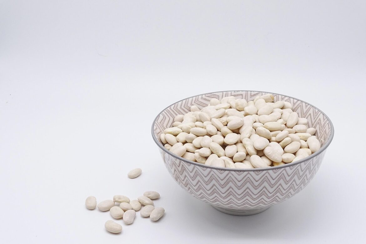 Easy Homemade Cat Food Recipes